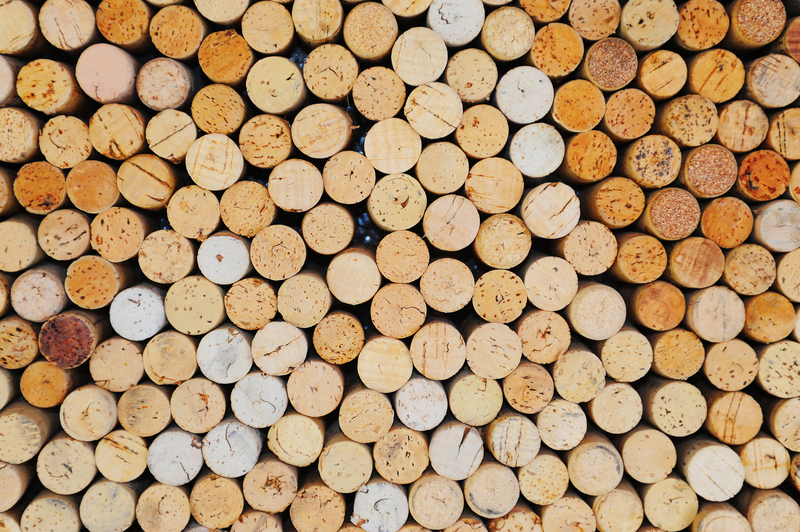 A Smart Guide to Eco-Conscious Smartphone Recycling
