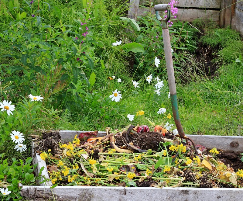Examining Hazardous Waste: From Ordinary to Dangerous